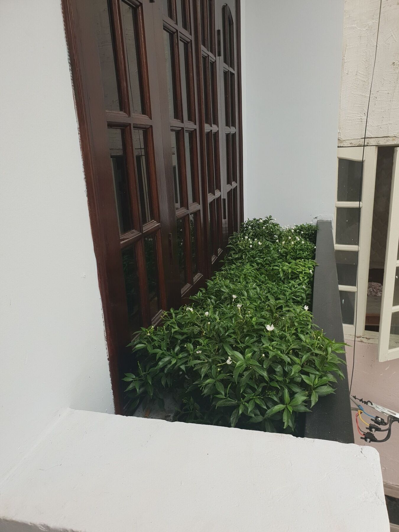 Thai Anh House - The Airport Ho Chi Minh Zewnętrze zdjęcie